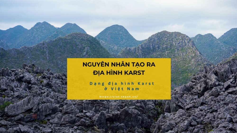 nguyên nhân chính tạo ra địa hình karst là gì