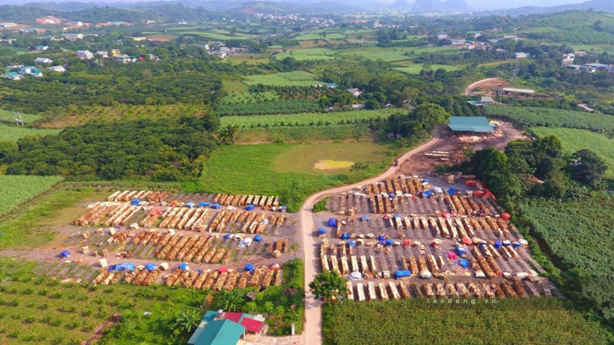 Diện tích đất thổ cư tối đa là bao nhiêu? Quy định mới nhất 2024 2 Diện tích đất thổ cư tối đa là bao nhiêu