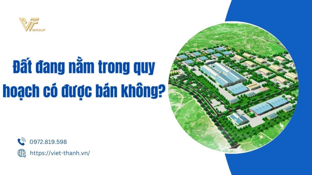 Bo-dam-bat-song-duoc-bao-xa (11)