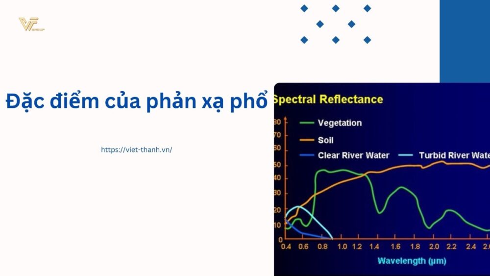 Đặc điểm của phản xạ phổ