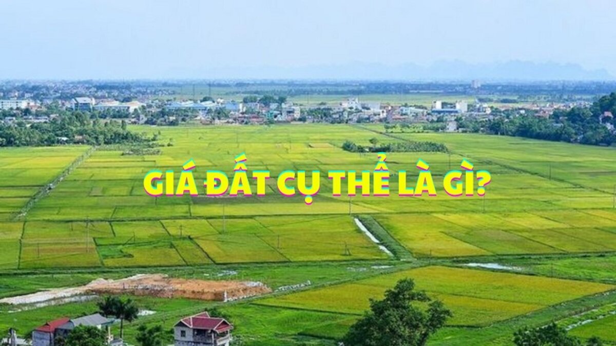 Giá đất cụ thể là gì? Quy trình xác định và những bất cập liên quan 1 giá đất cụ thể là gì