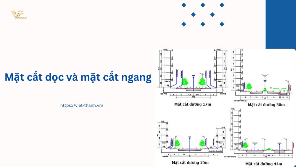 Mặt cắt dọc và mặt cắt ngang