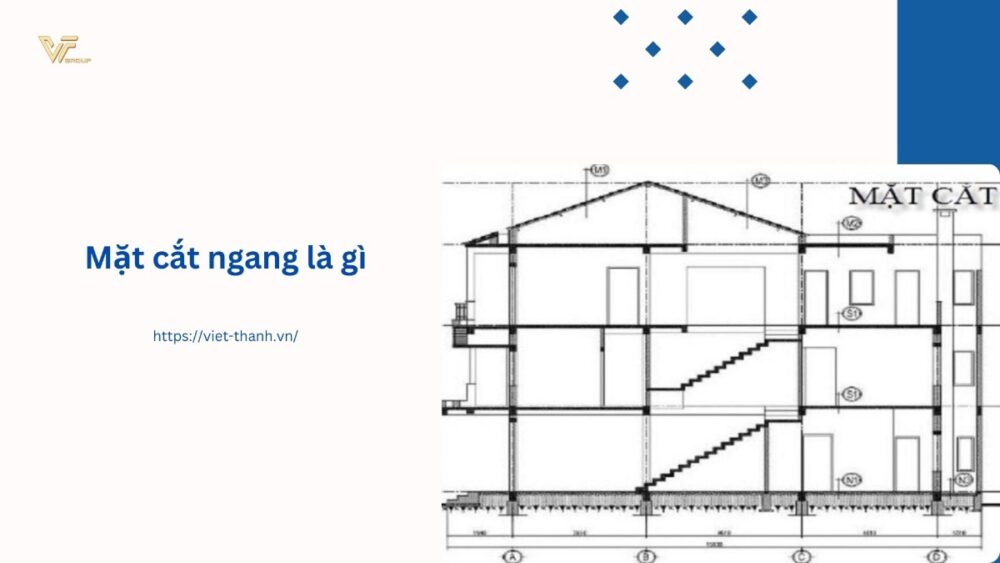 Mặt cắt ngang là gì