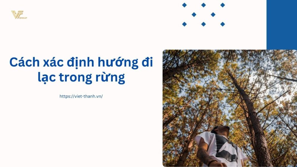 Cách xác định hướng đi lạc trong rừng