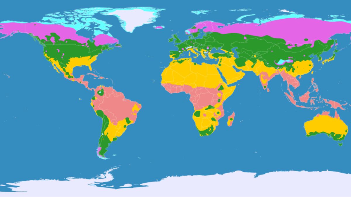 Bản đồ đường xích đạo