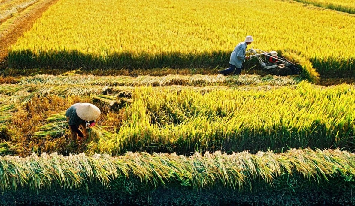 Ngoại chí tuyến là gì? Đặc điểm và ứng dụng 4 Ngoai-chi-tuyen-la-gi-5