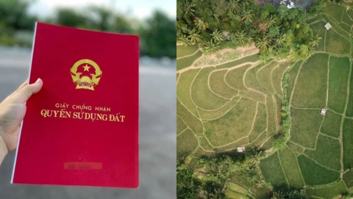 Tìm hiểu các ký hiệu trên sổ đỏ thửa đất 1 Tìm Hiểu Các Ký Hiệu Trên Sổ đỏ Thửa đất (2)