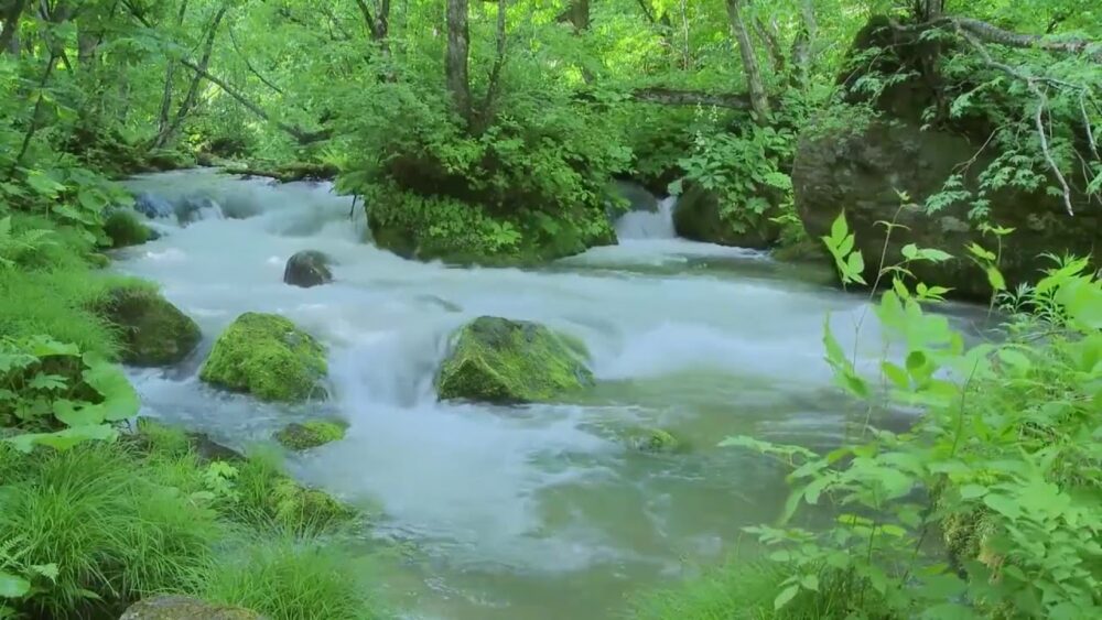 Vai trò của khảo sát thủy đạc trong quản lý, sử dụng nguồn tài nguyên nước 1 Vai trò của khảo sát thủy đạc