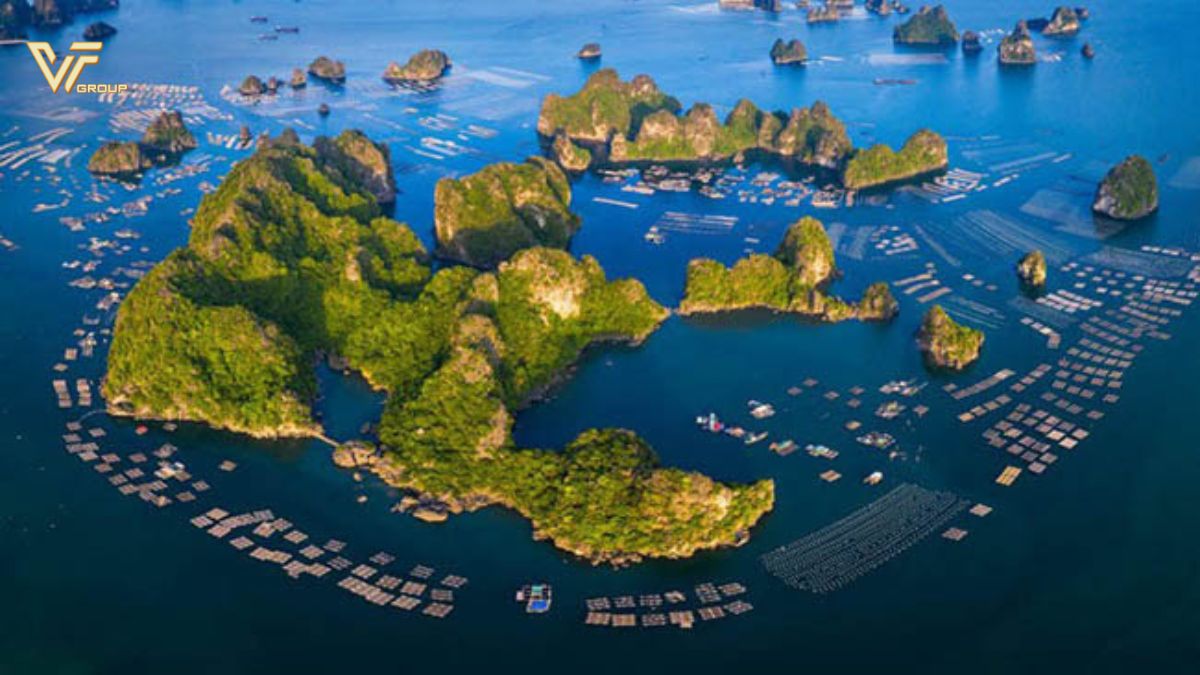 Quy trình thành lập bản đồ biển