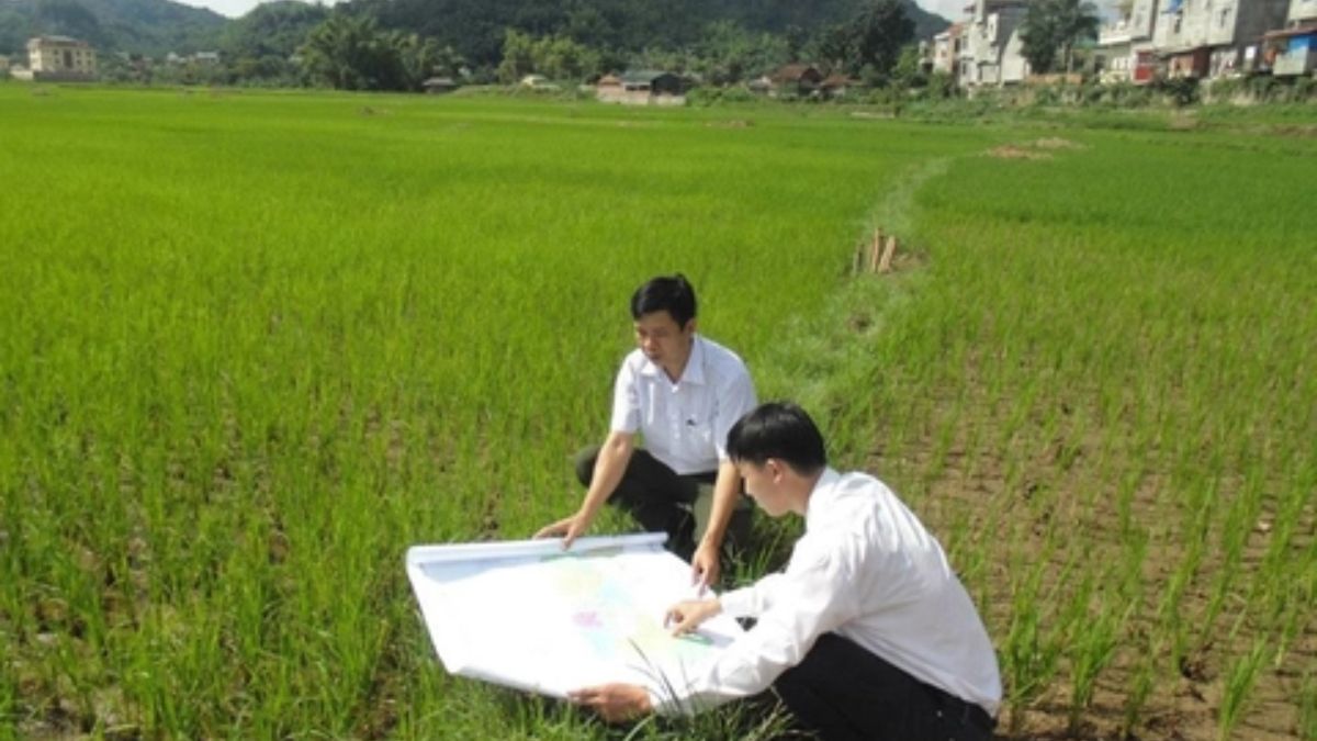 Thủ tục đăng ký đo đạc địa chính: Hướng dẫn chi tiết, dễ hiểu 3 Thủ Tục đăng Ký đo đạc địa Chính Hướng Dẫn Chi Tiết, Dễ Hiểu (1)