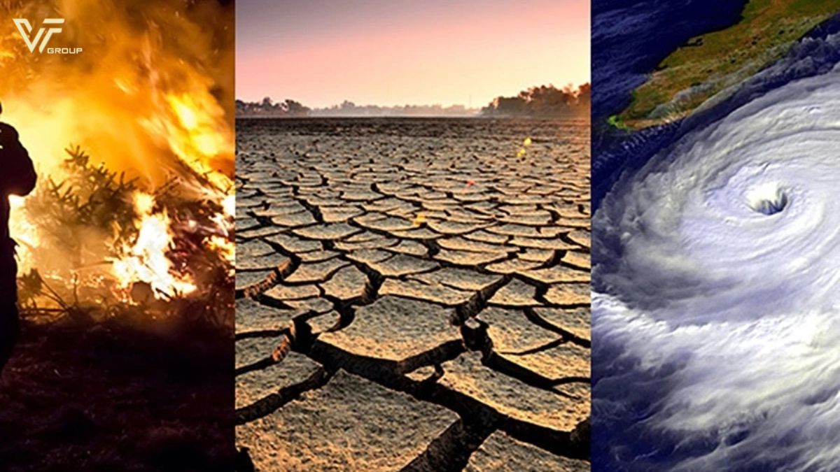 Du-lieu-point-cloud-6