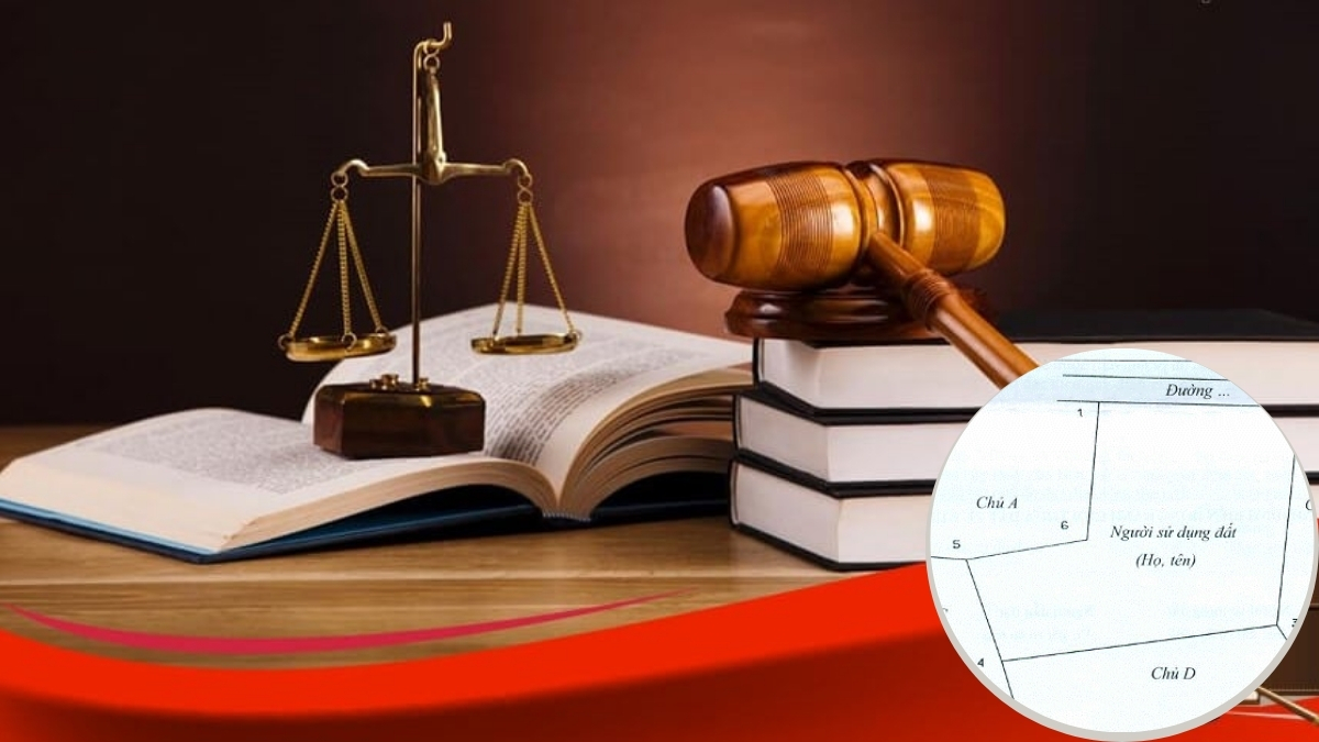 Sơ đồ không có trích lục: Những điều cần biết khi giao dịch đất đai 2 So-do-khong-co-trich-luc-2