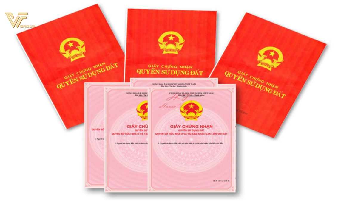 So-do-co-gia-tri-bao-nhieu-nam-1